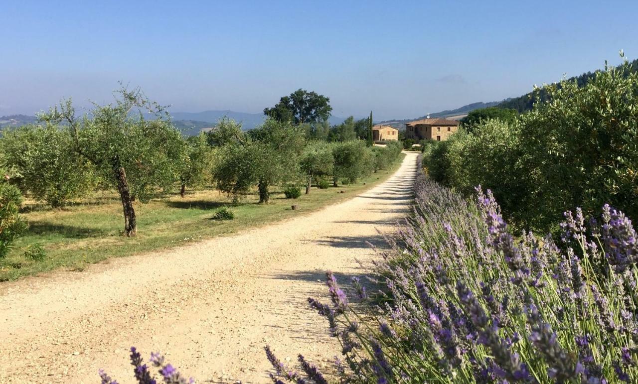 Villa Le Bolli Radicondoli Exterior photo